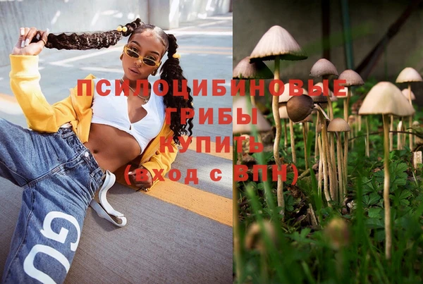 соль курить ск Покров