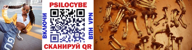 Псилоцибиновые грибы MAGIC MUSHROOMS  Купить где  Тогучин 